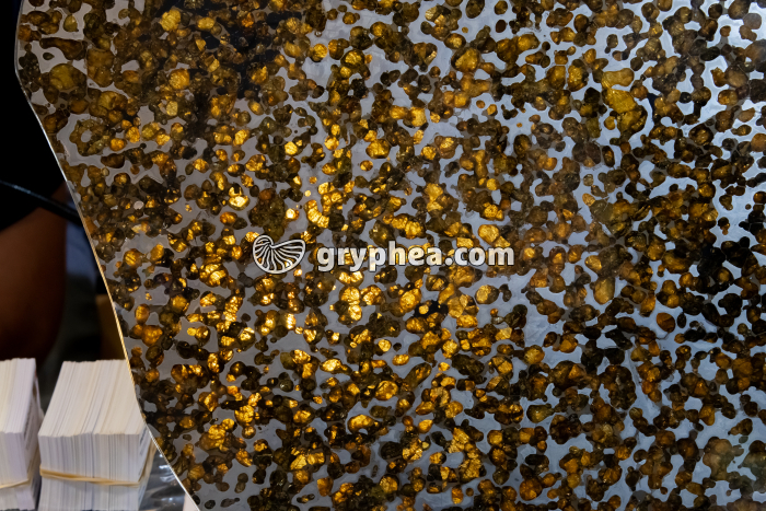 Météorite - Pallasite - surface polie montrant des cristaux d'olivine et des dépots de Fer-Nickel (Brenham, Kansas, USA) - gryphea.com